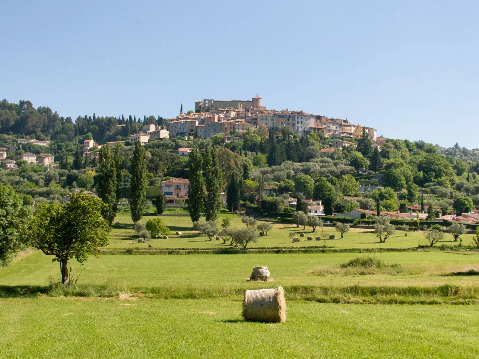 Domaine de Camiole-Area