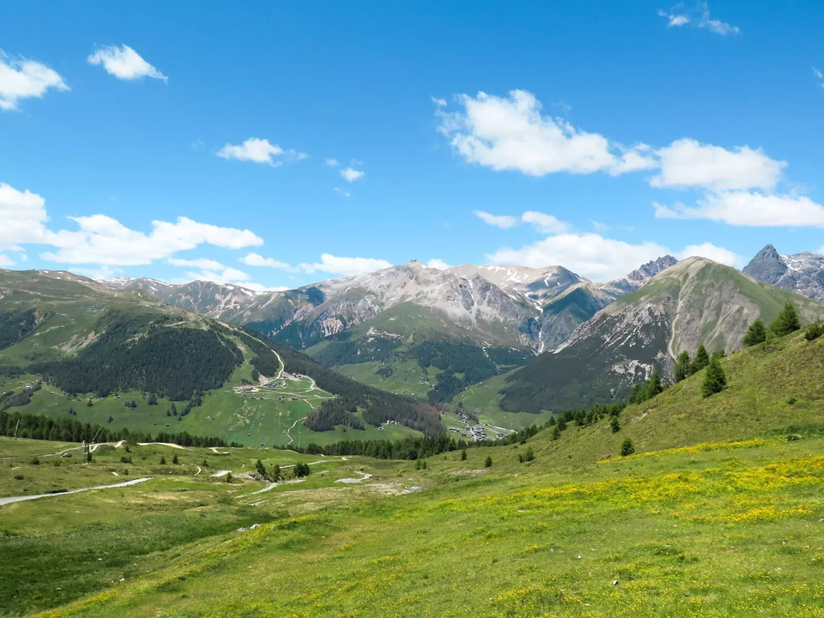 Trepalle-Area
