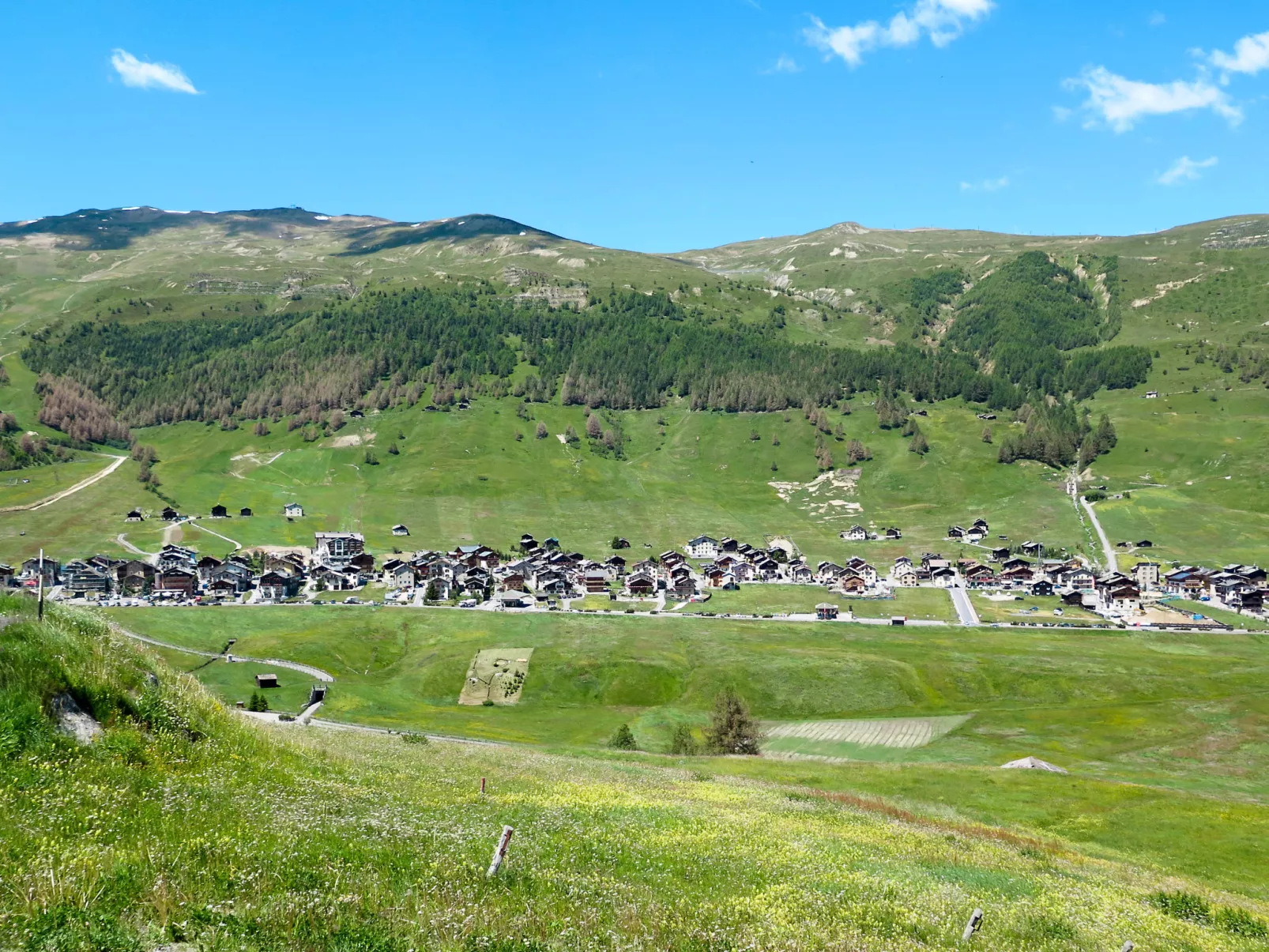 Trepalle-Area