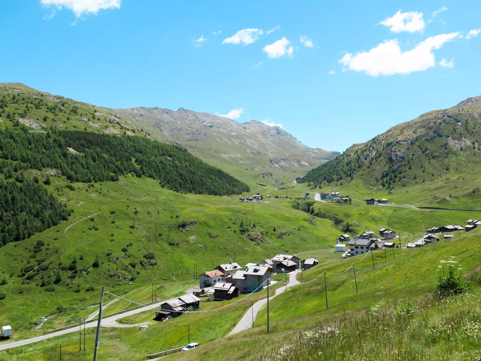 Trepalle-Area