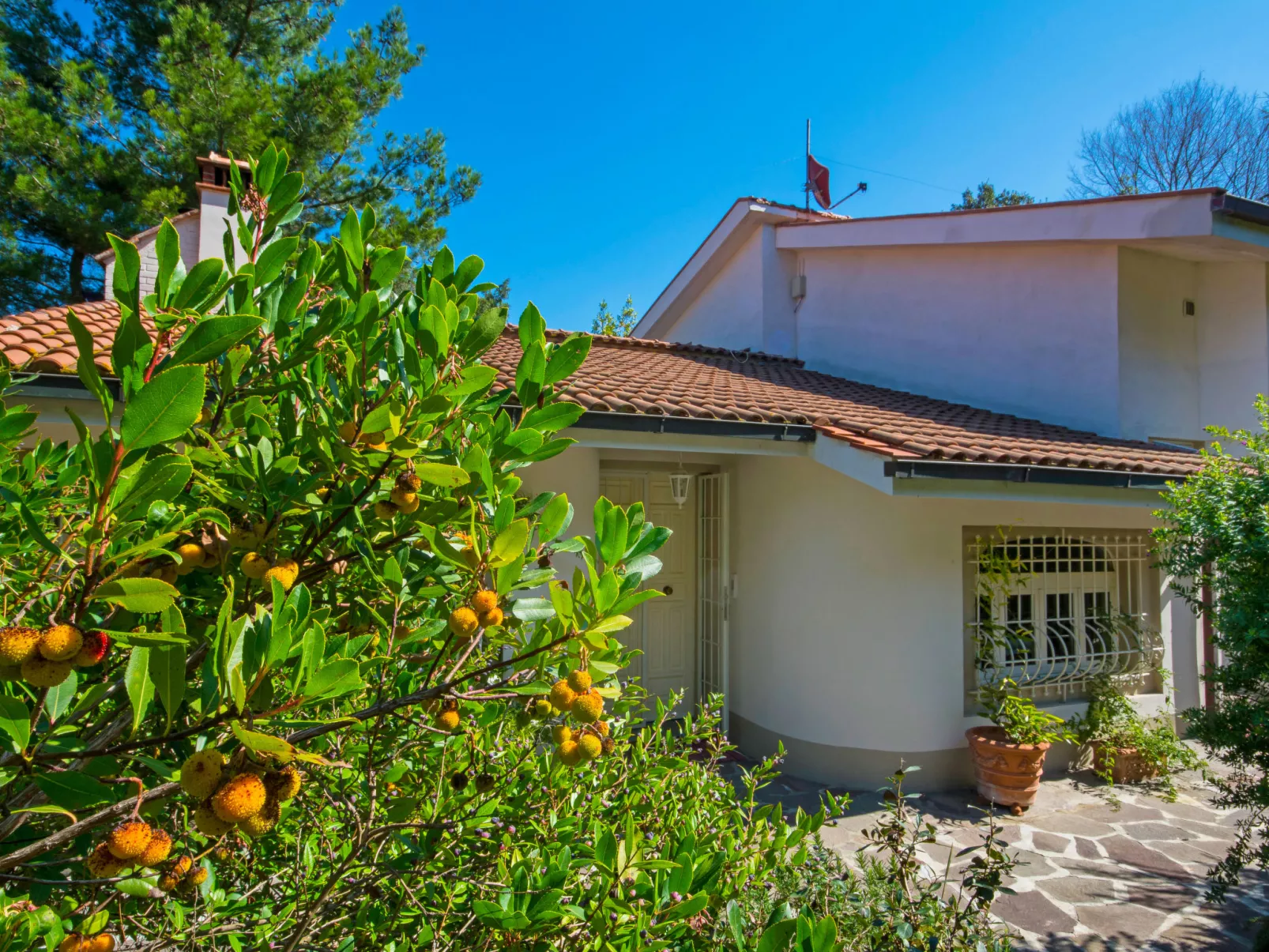 La Casa Vivente-Outside