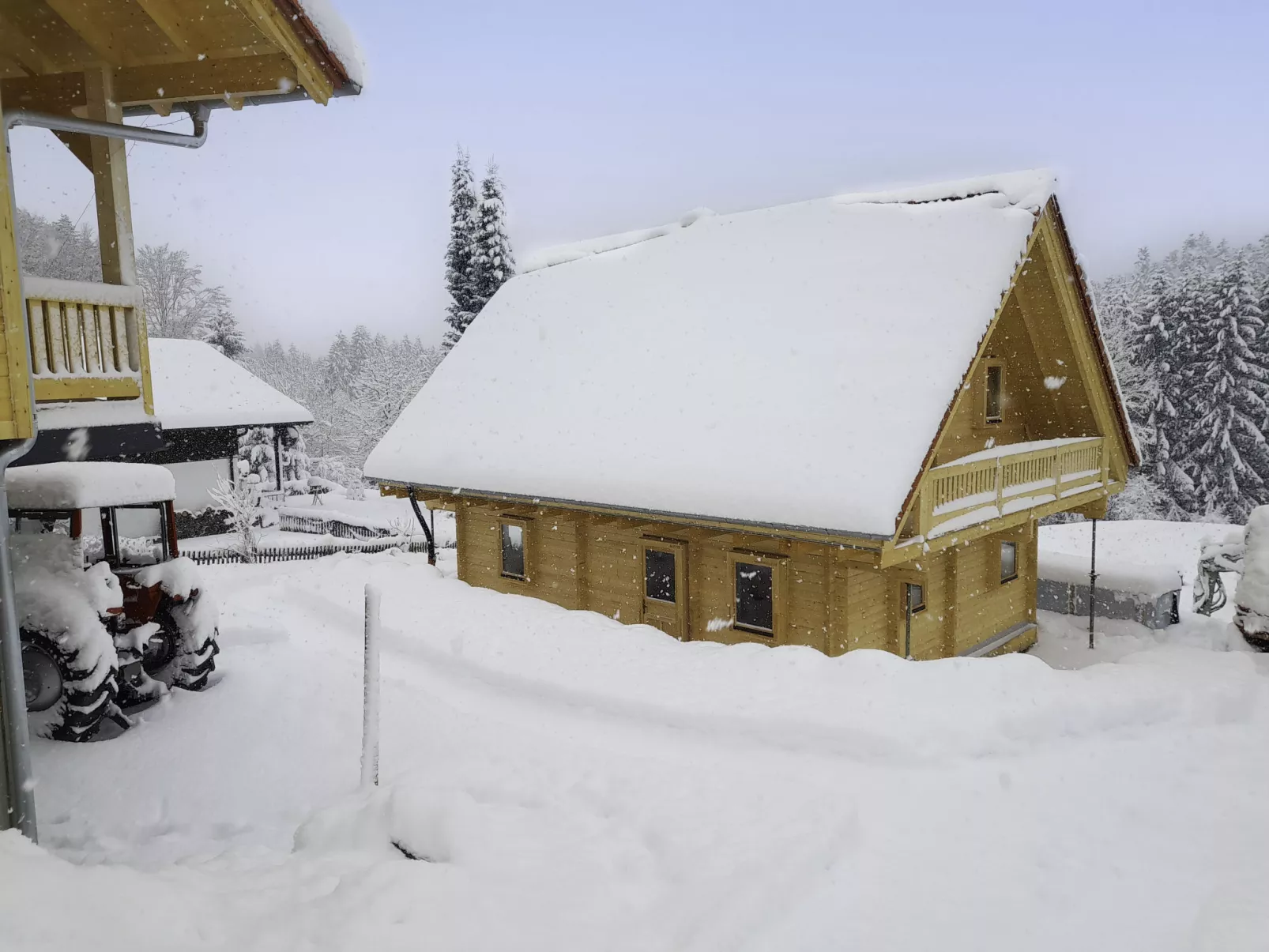 Chalet Sven-Outside