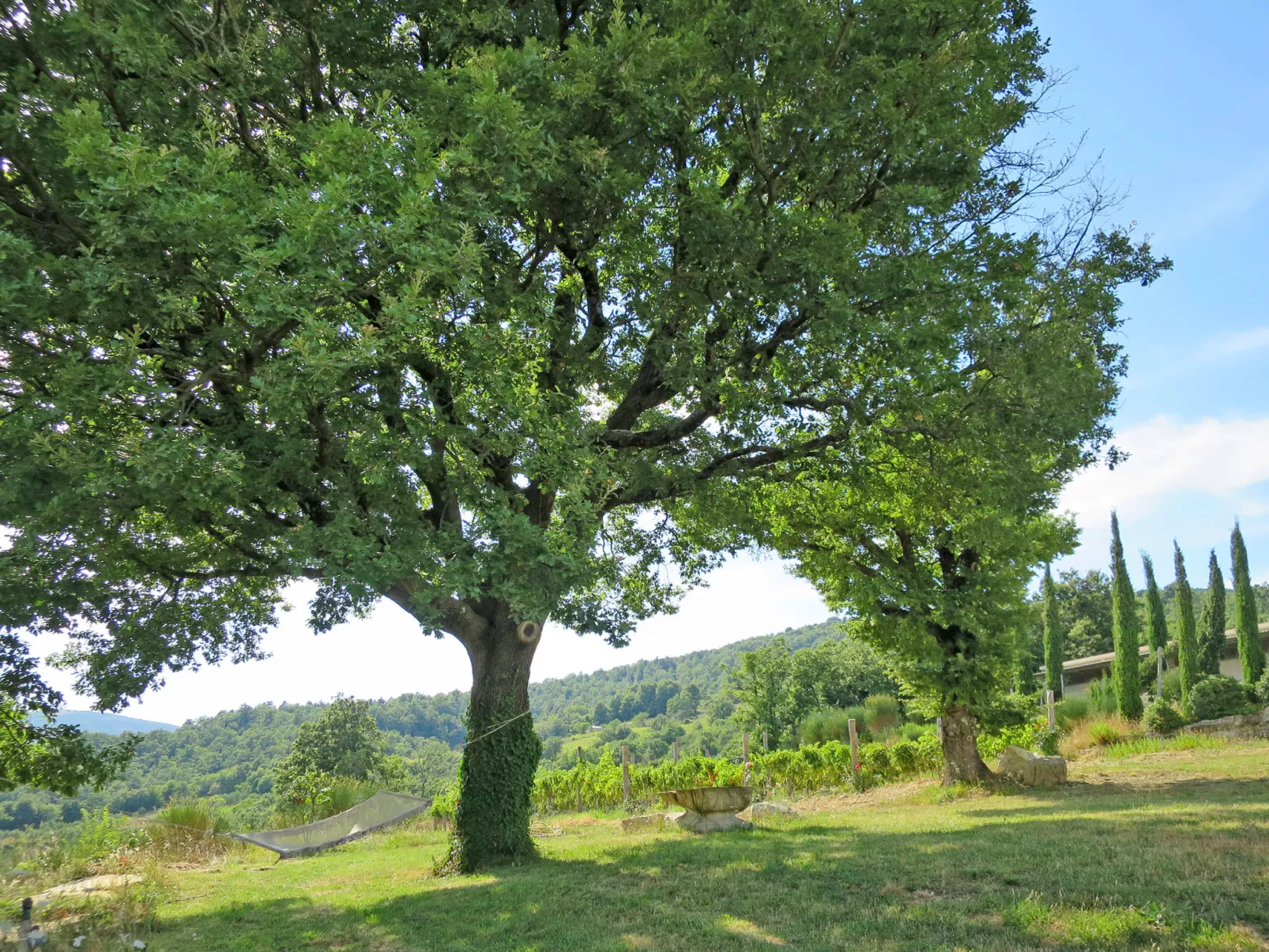 Podere Casidote-Dehors