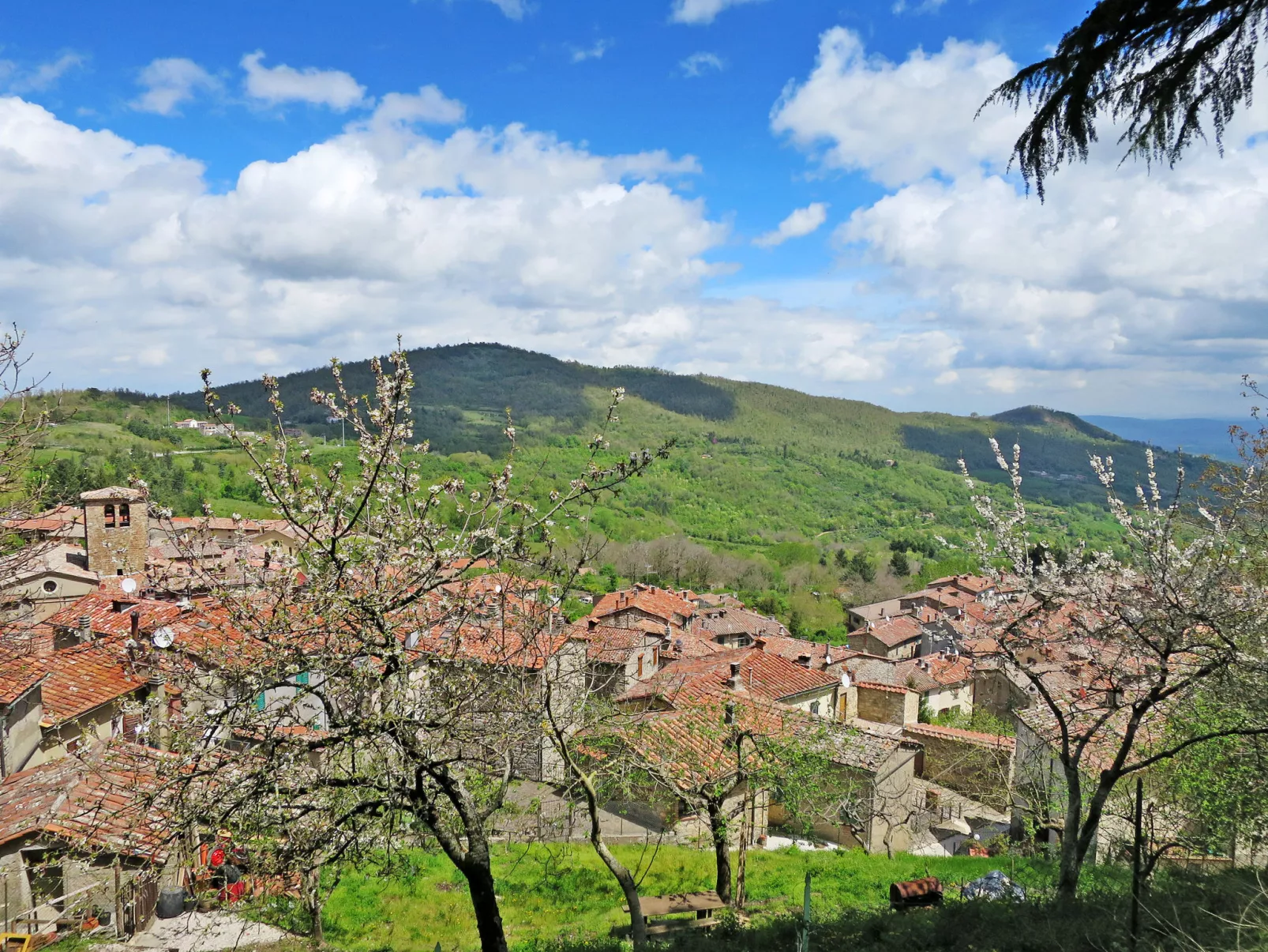 Podere Casidote-Environnement