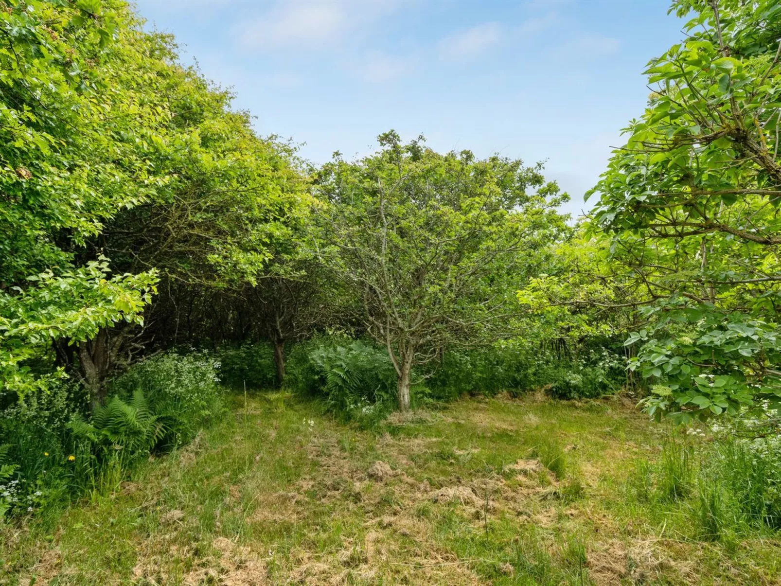 "Sorja" - 420m from the sea-Outside