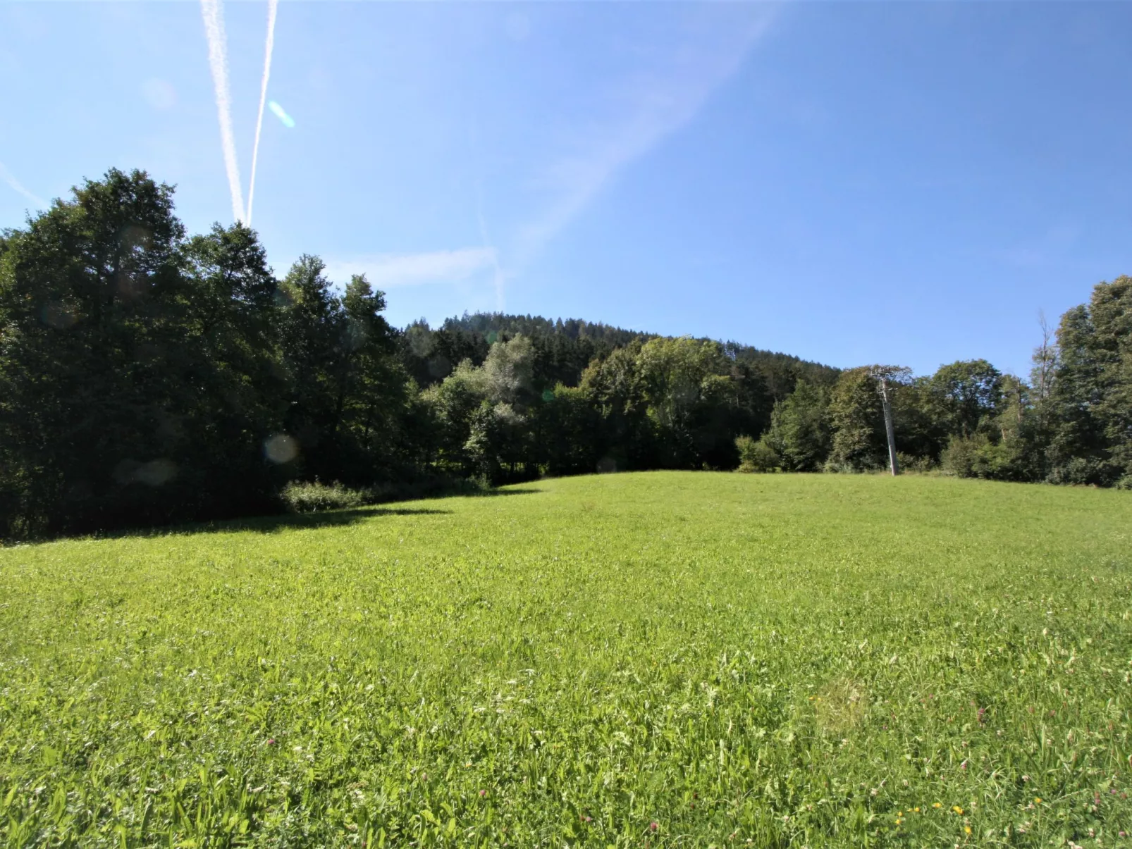 Vogelhütte-Outside