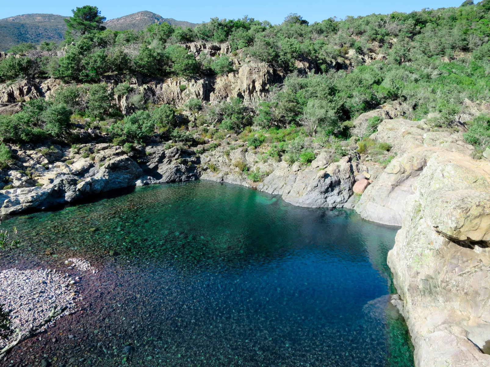 Fidiamare-Area