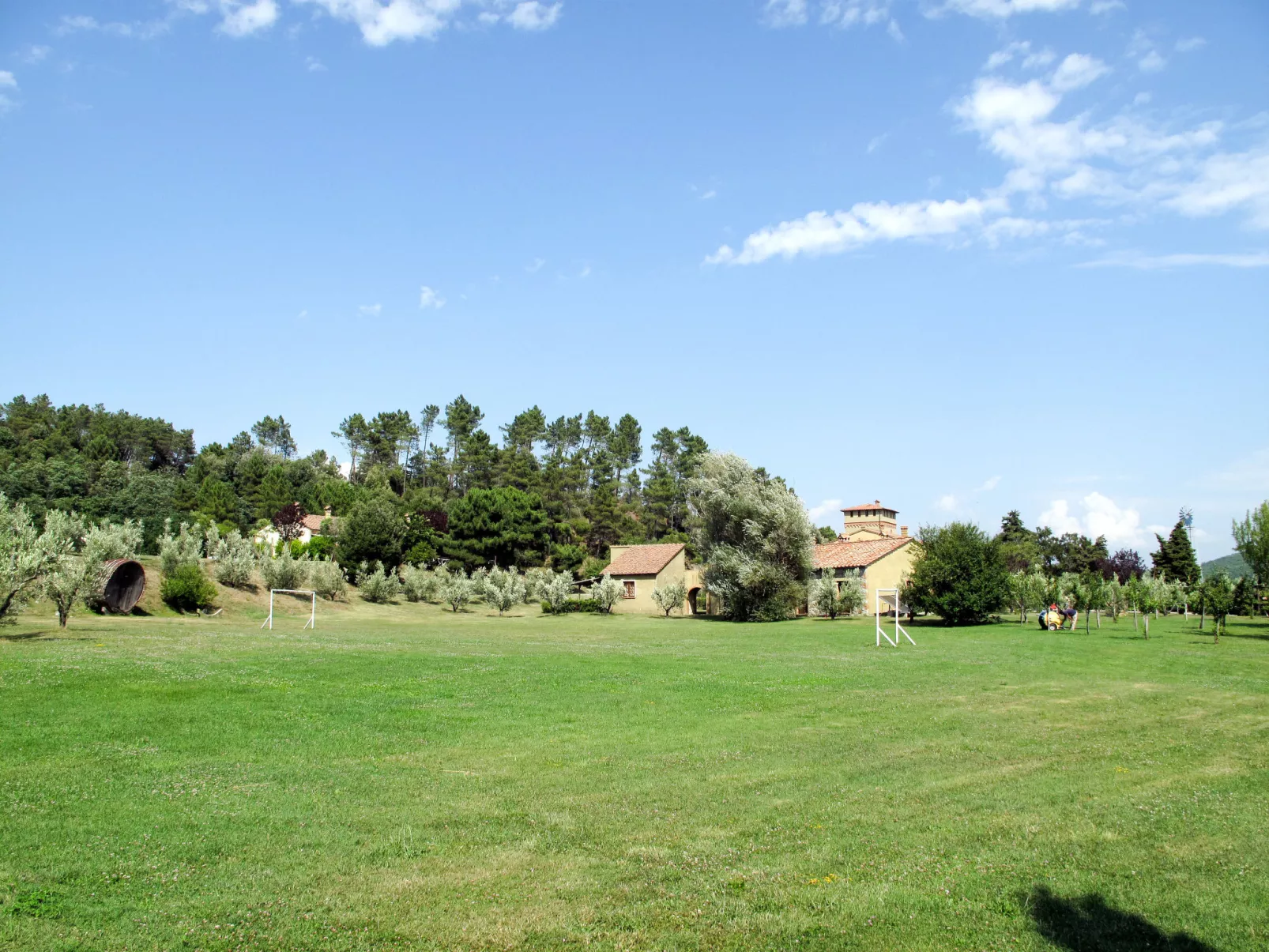 Lepre-Outside