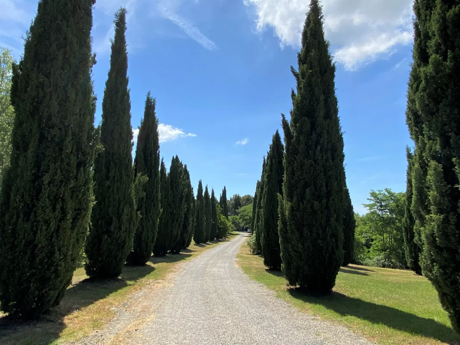 Orso-Outside
