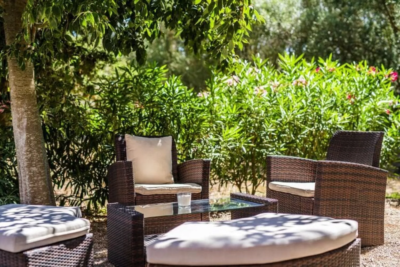 Finca Kiana-Gardens summer