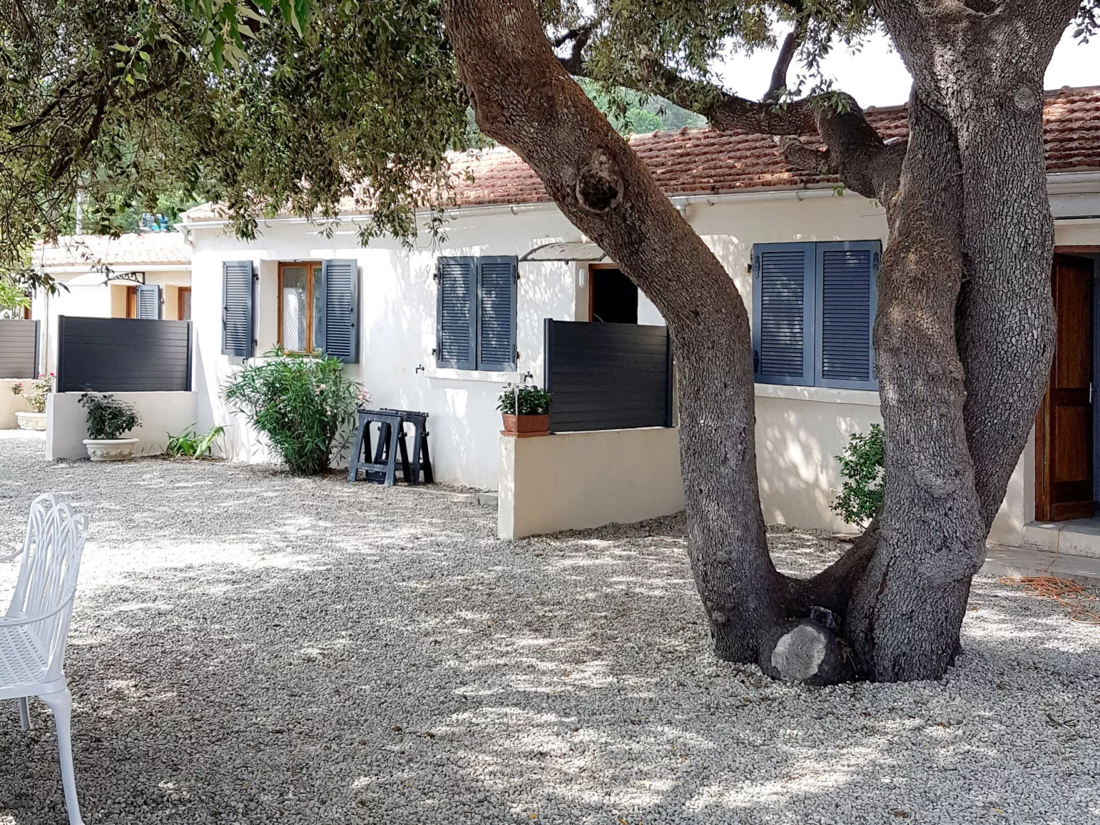 Mustella-Outside