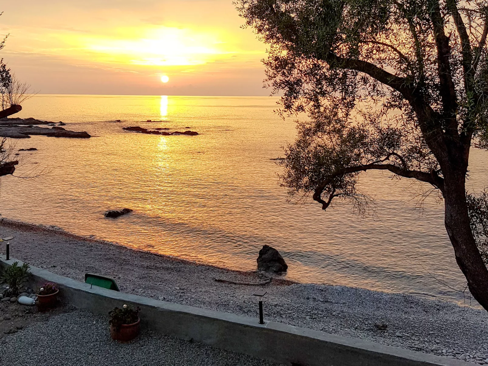 Mustella-Outside
