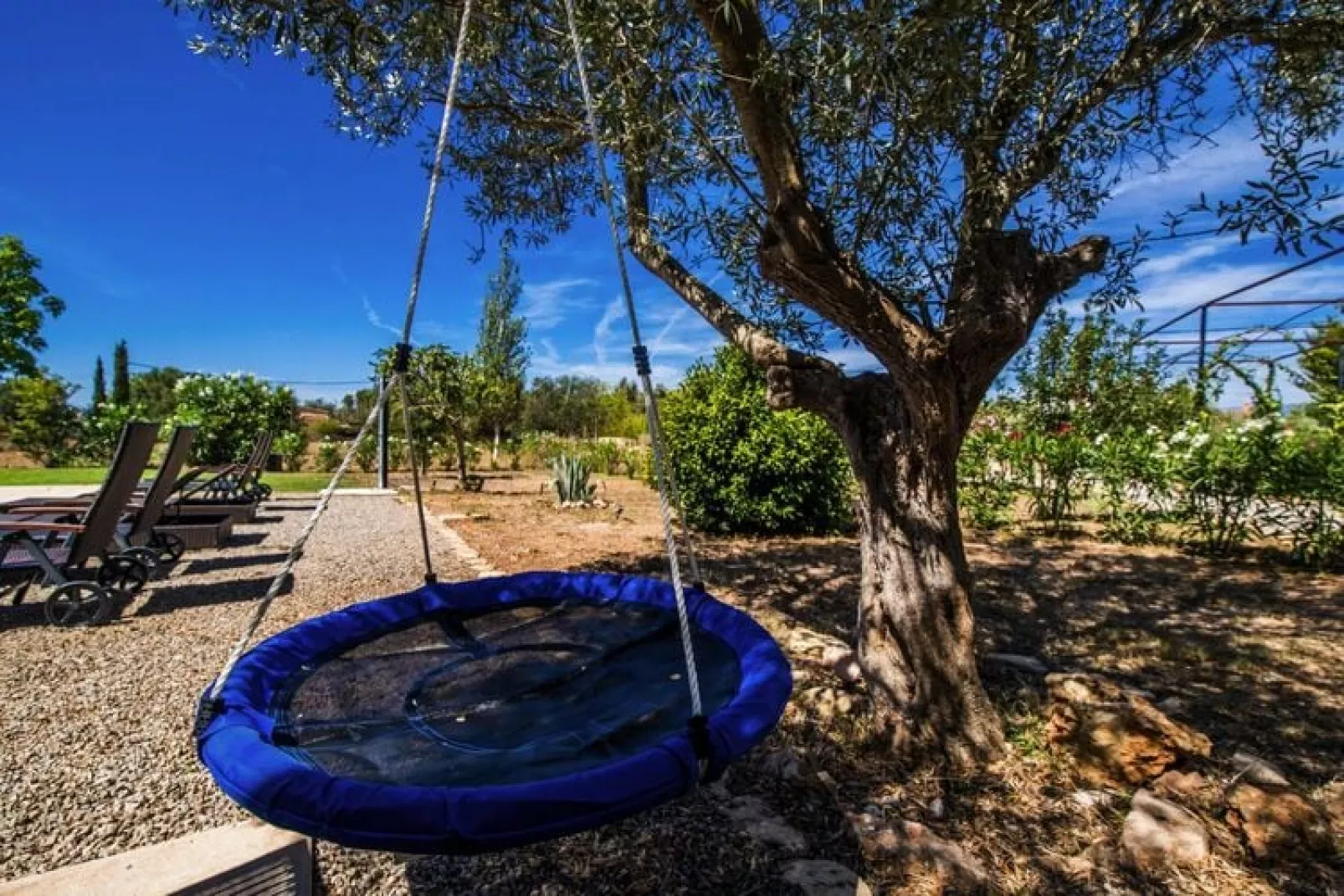 Finca Kiana-Gardens summer