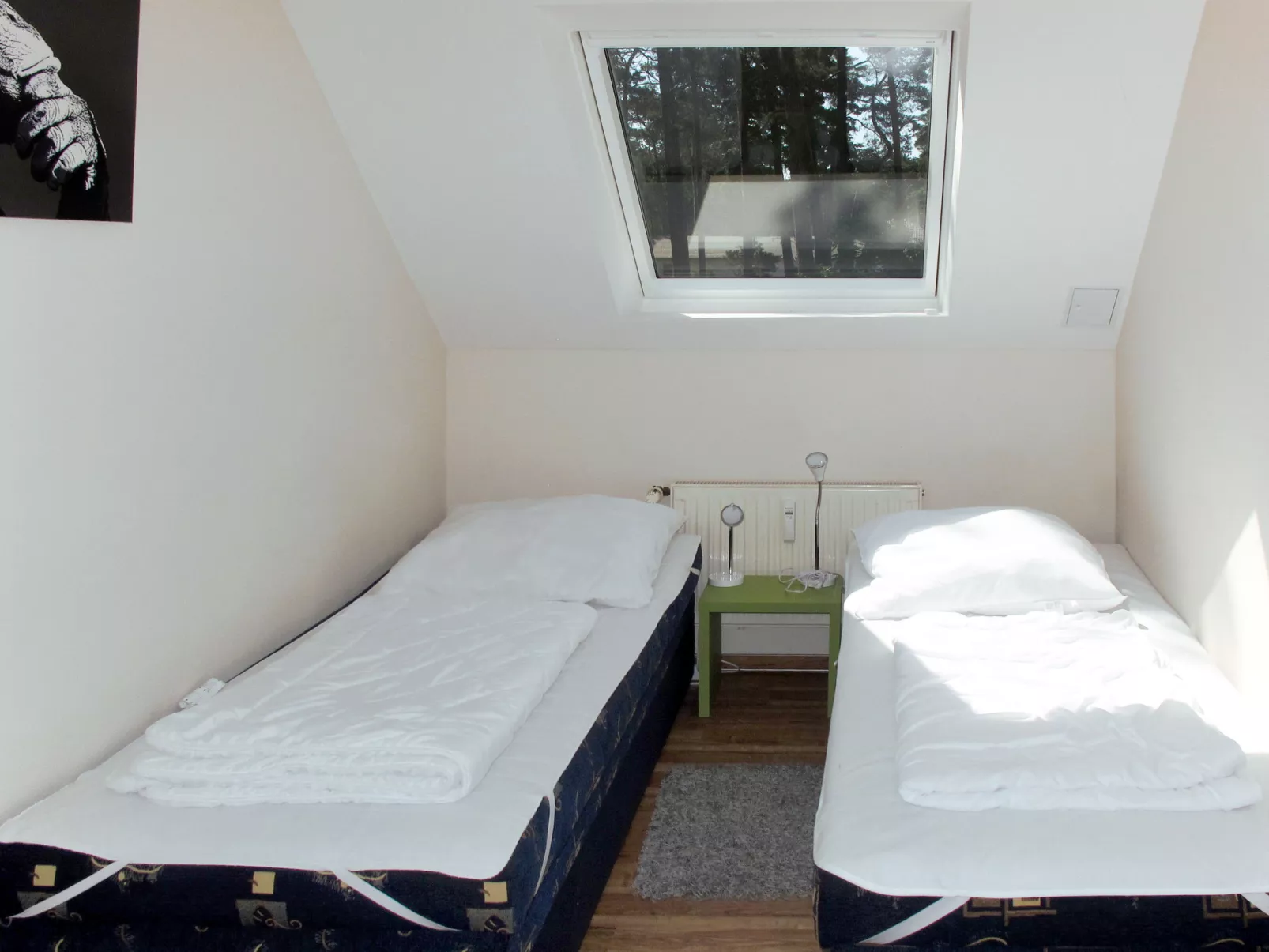 Blaumuschel (LUB118)-Inside