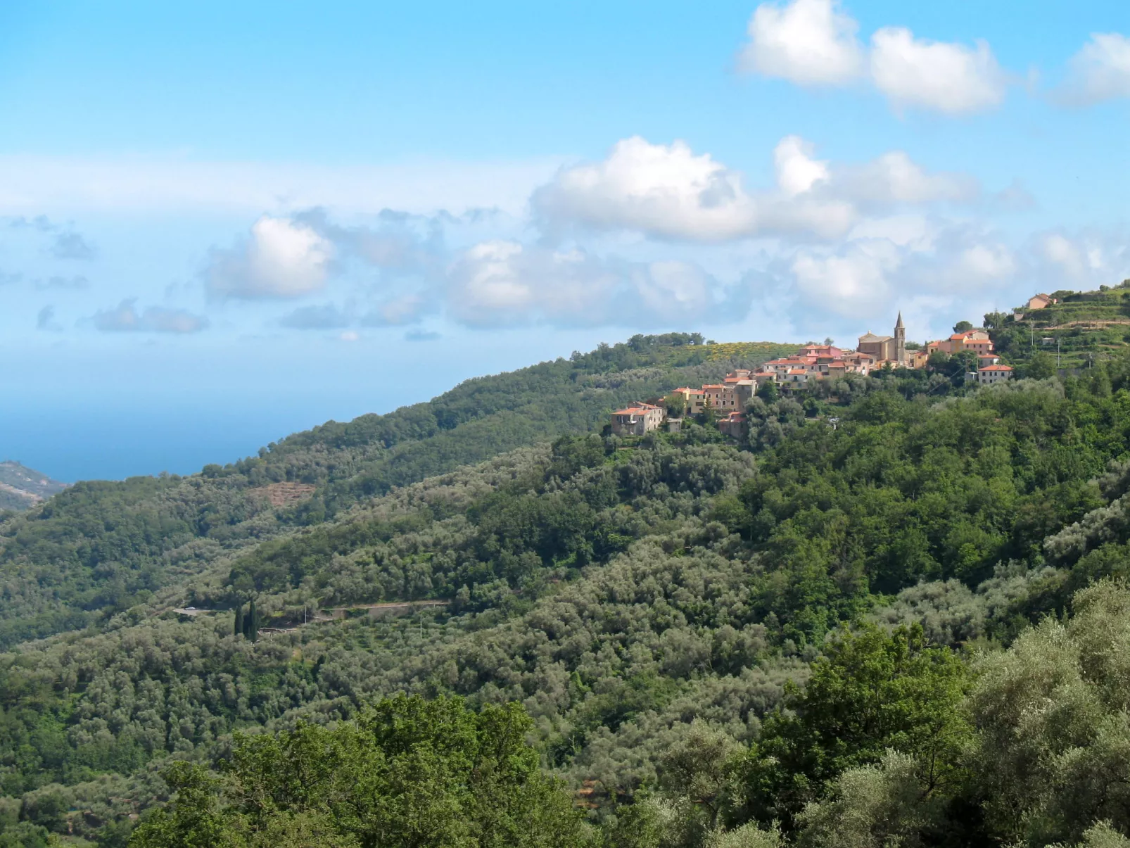 Bellaria (VLO190)-Area