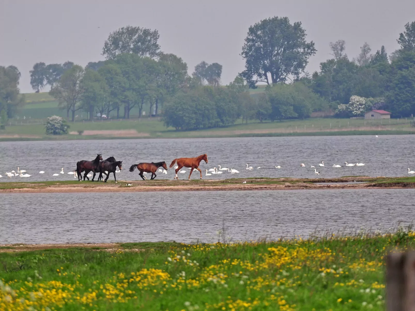 Gollwitzer Park (Insel Poel)-Umgebung