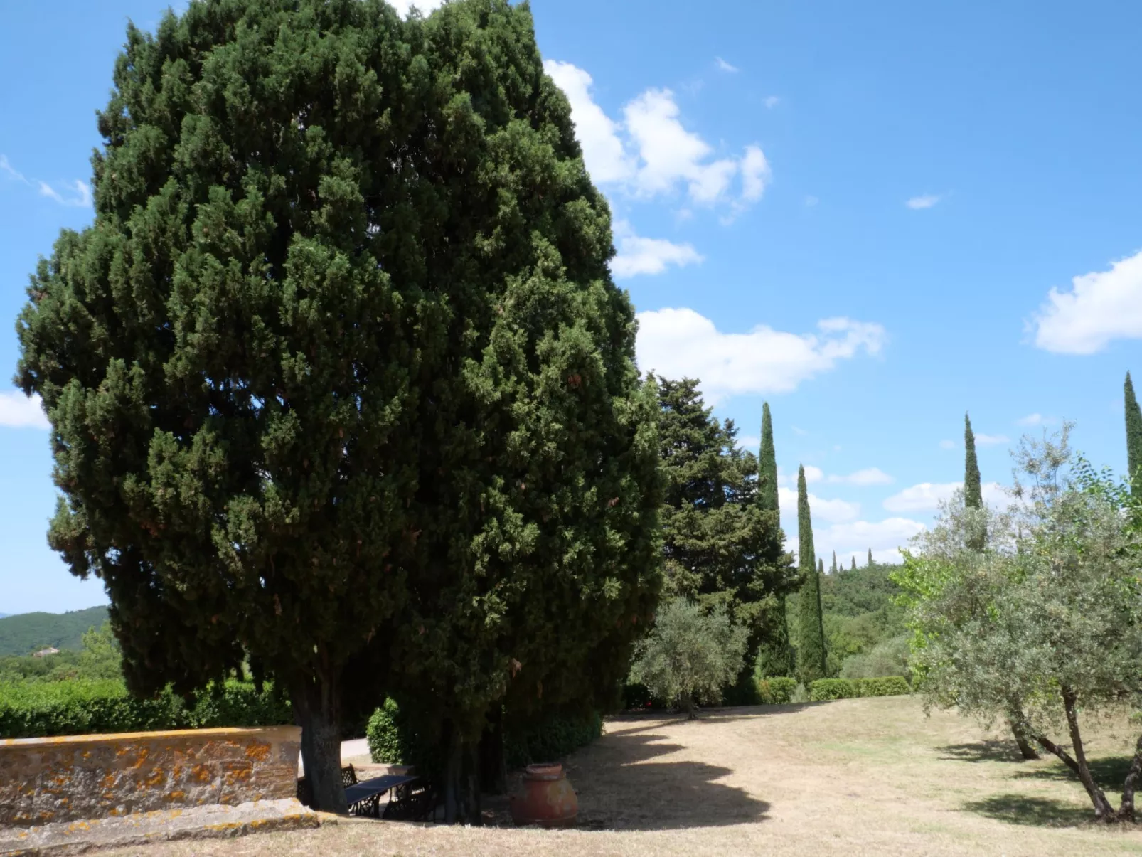 La Torre-Outside