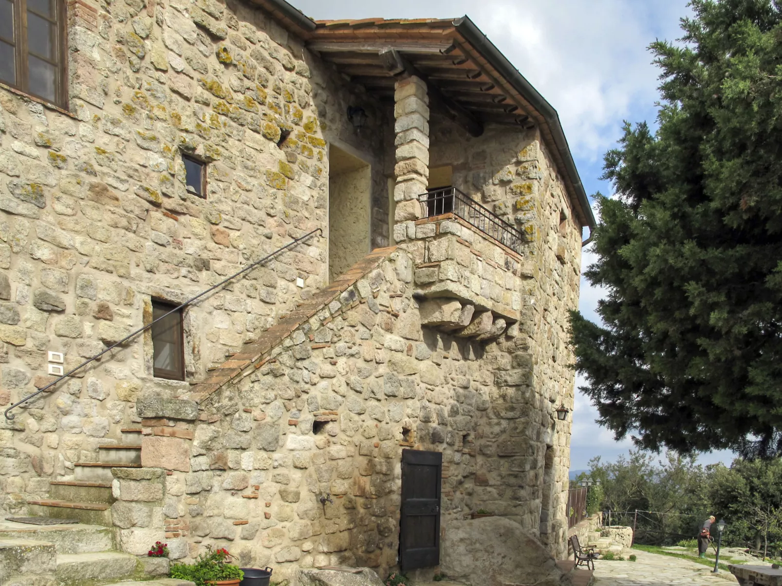 Mimosa - Borgo la Civitella-Draußen