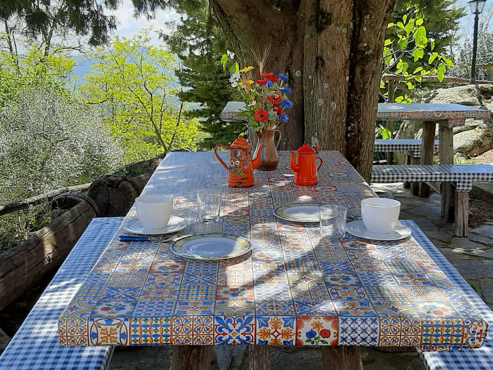 Mimosa - Borgo la Civitella-Draußen