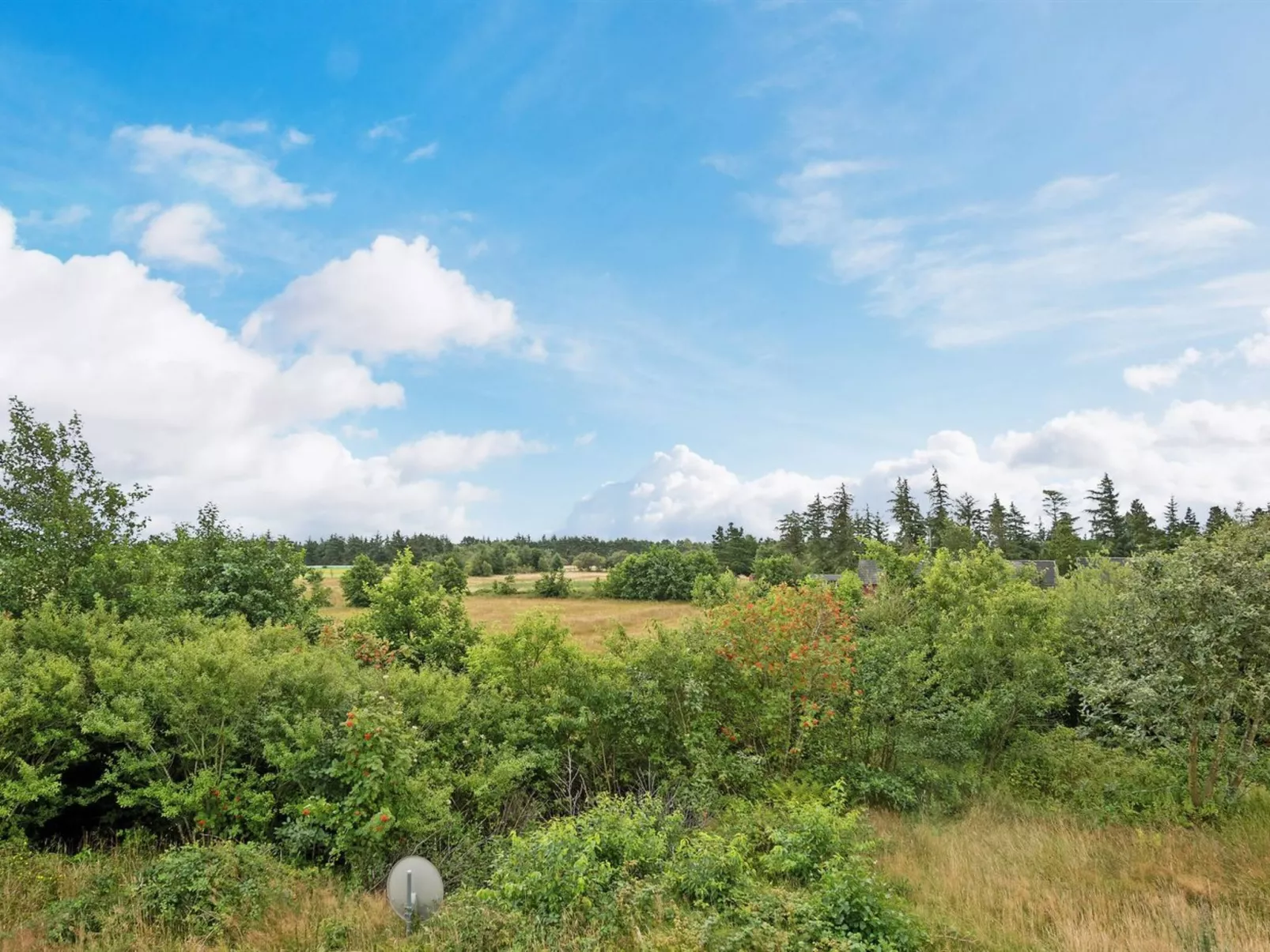 "Thorben" - 3.5km from the sea-Outside