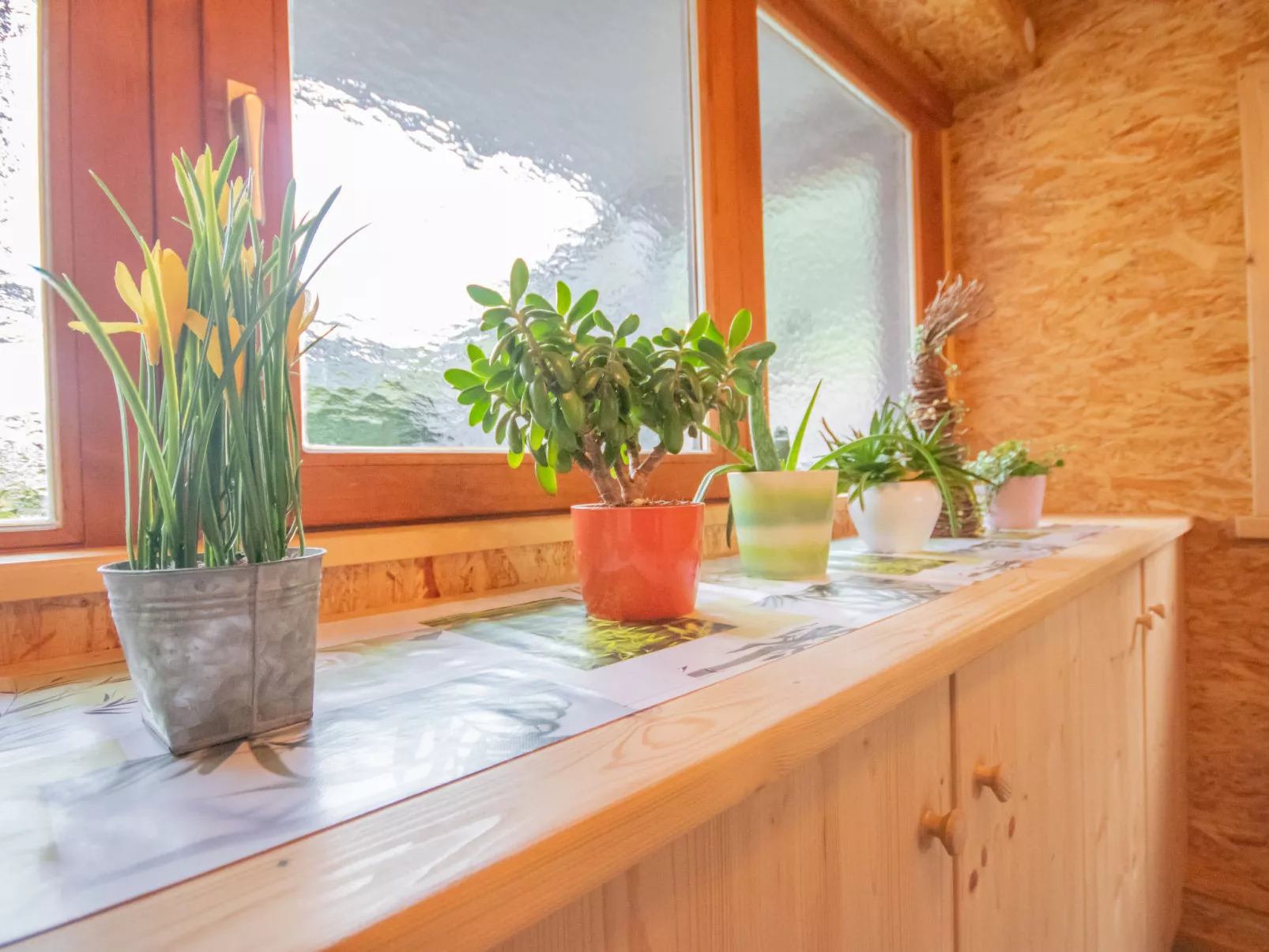Anette Living-Dedans