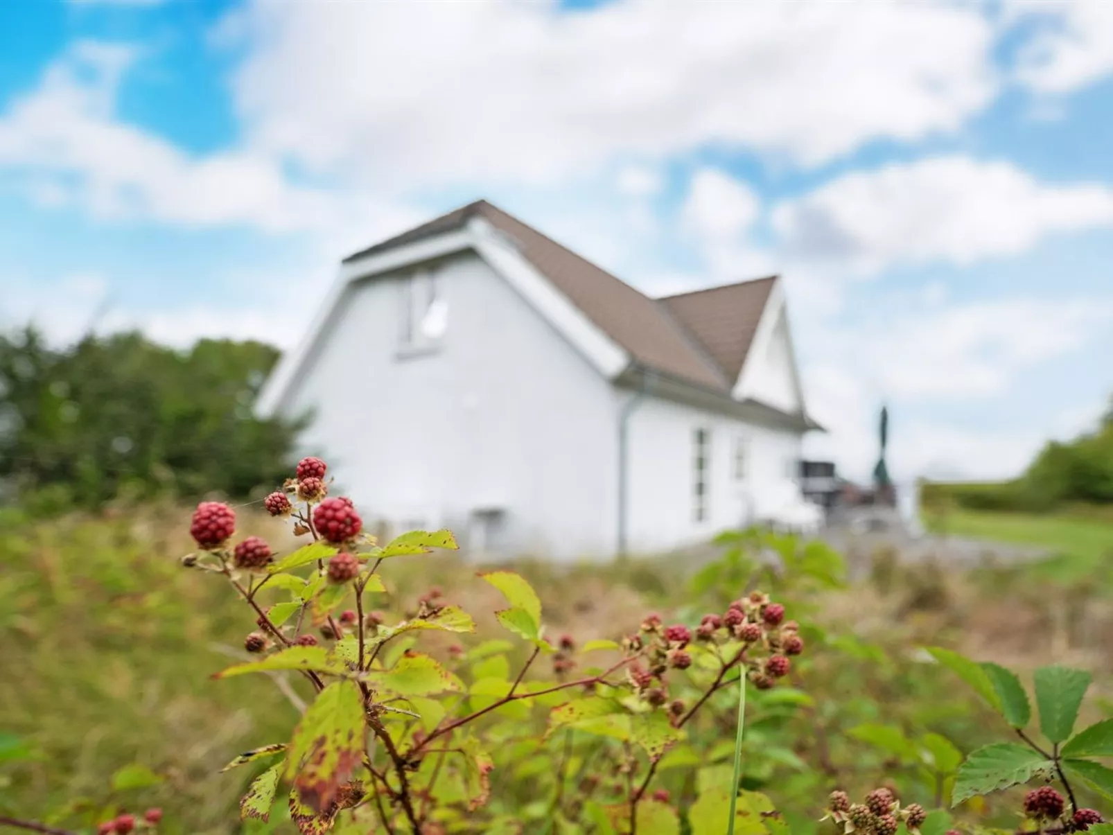"Thorben" - 3.5km from the sea-Outside