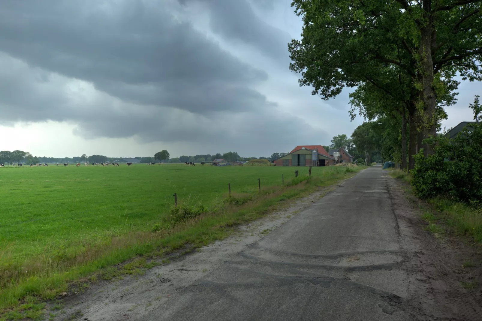 NR 3-Areas summer 1km