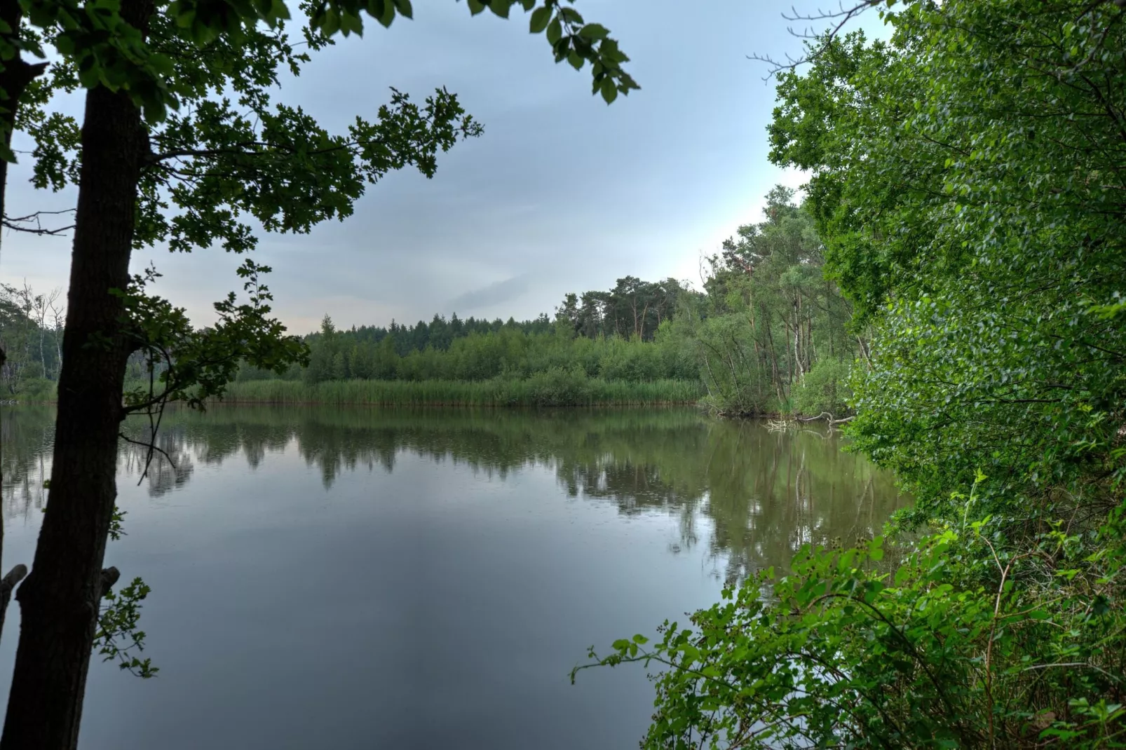 NR 3-Areas summer 5km