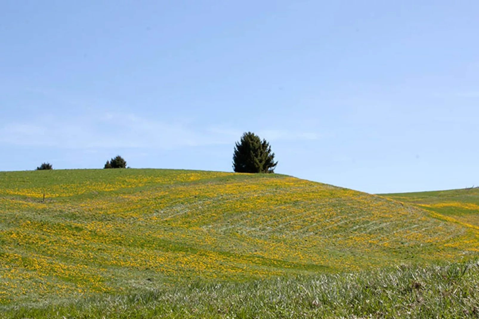 Villa Il Capriolo-Zones d'été à 5 km
