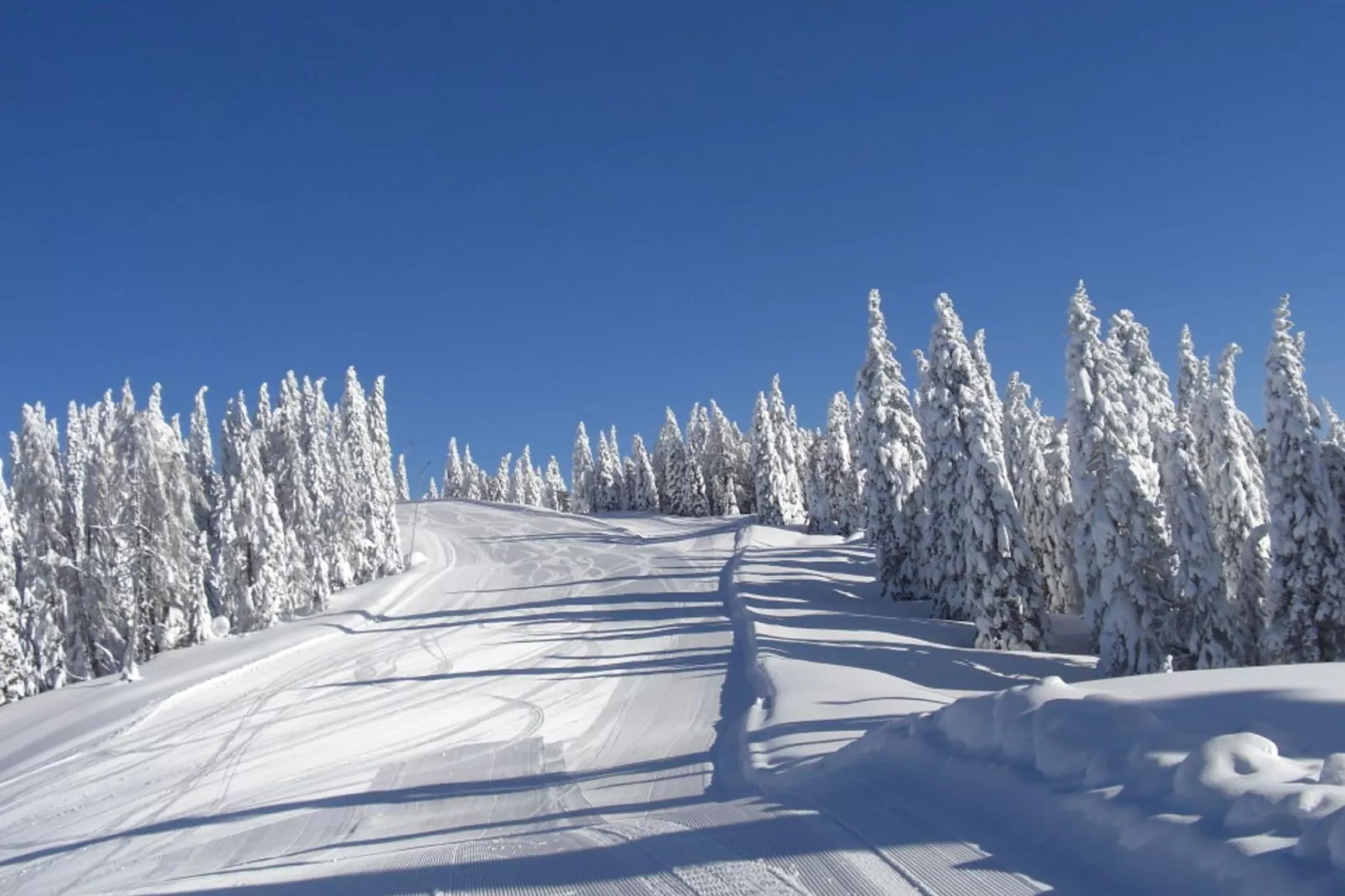 Villa Il Capriolo-Zone d'hiver à 5 km