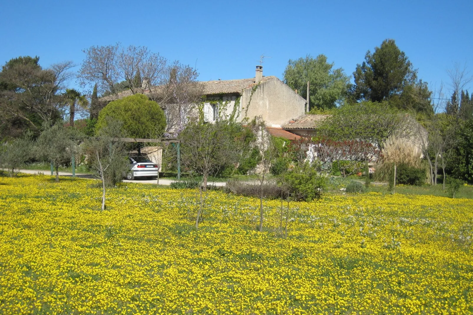 Les Plantiers-Jardin d'été