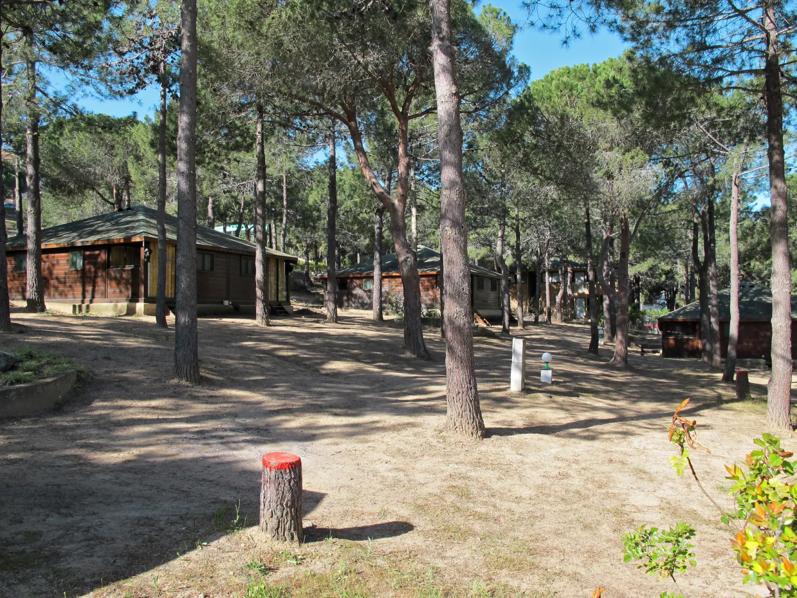 Villa en bois-Draußen