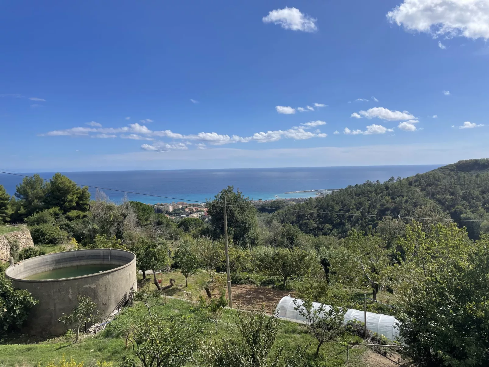 Casa del Pernambuco (PTL205)-Draußen