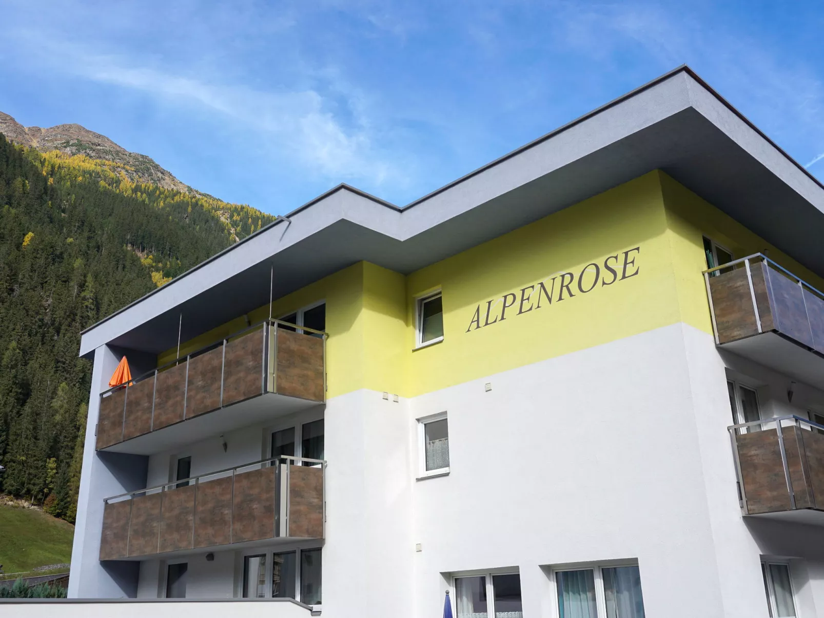 Alpenrose-Draußen