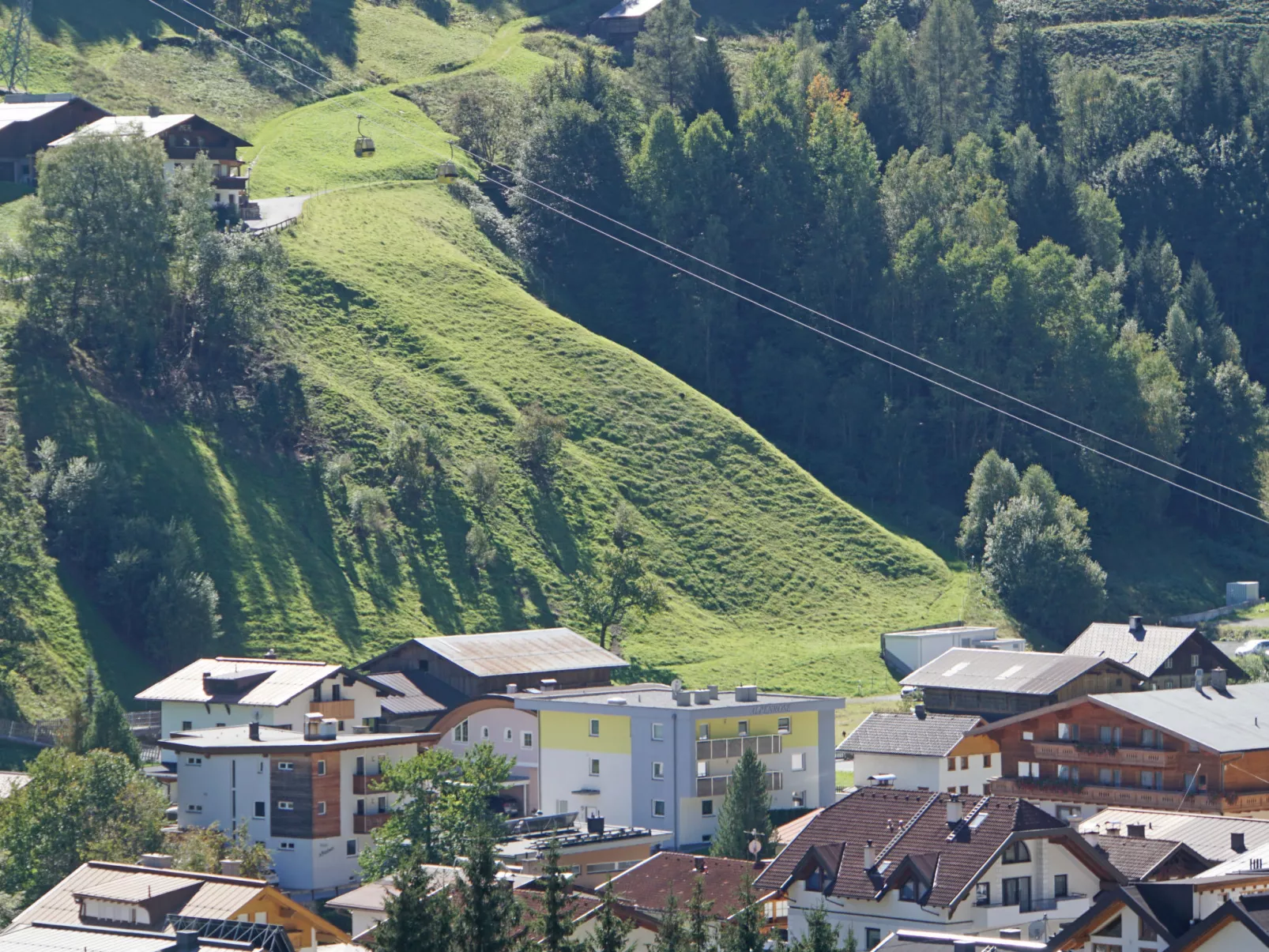 Alpenrose-Draußen