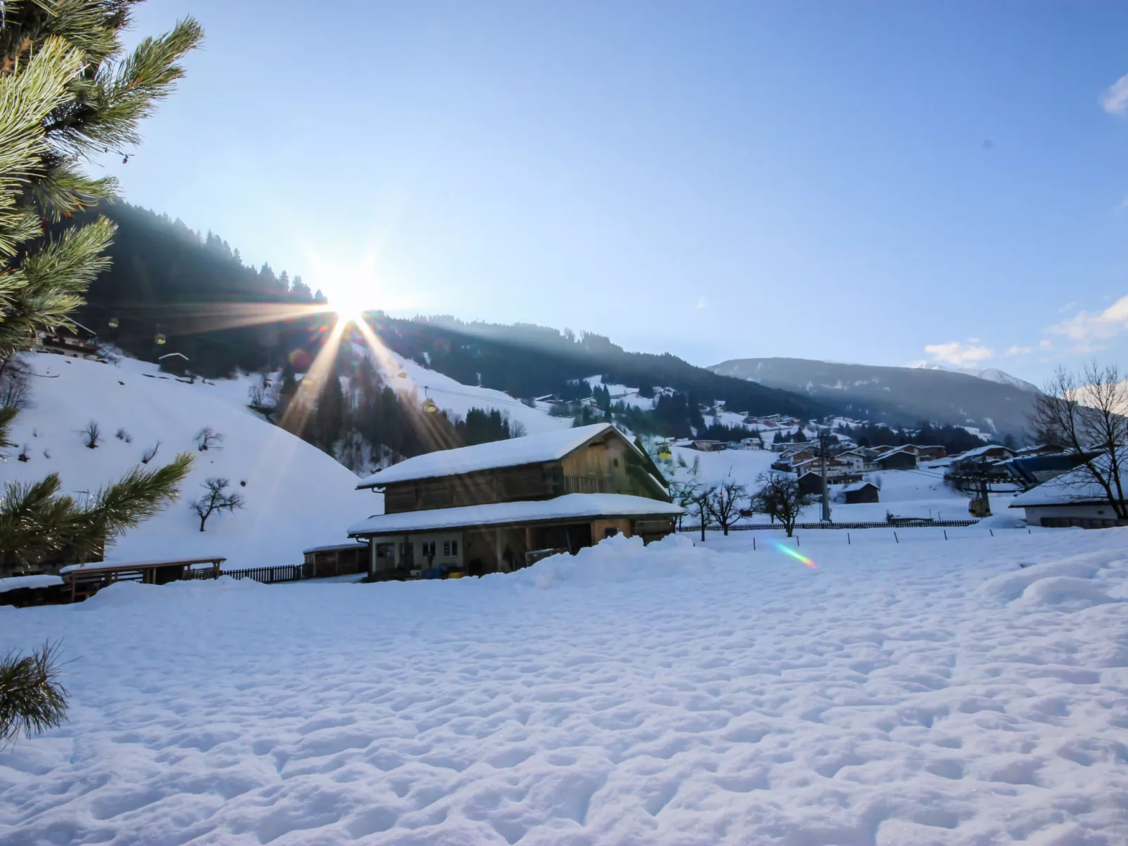 Alpenrose-Draußen