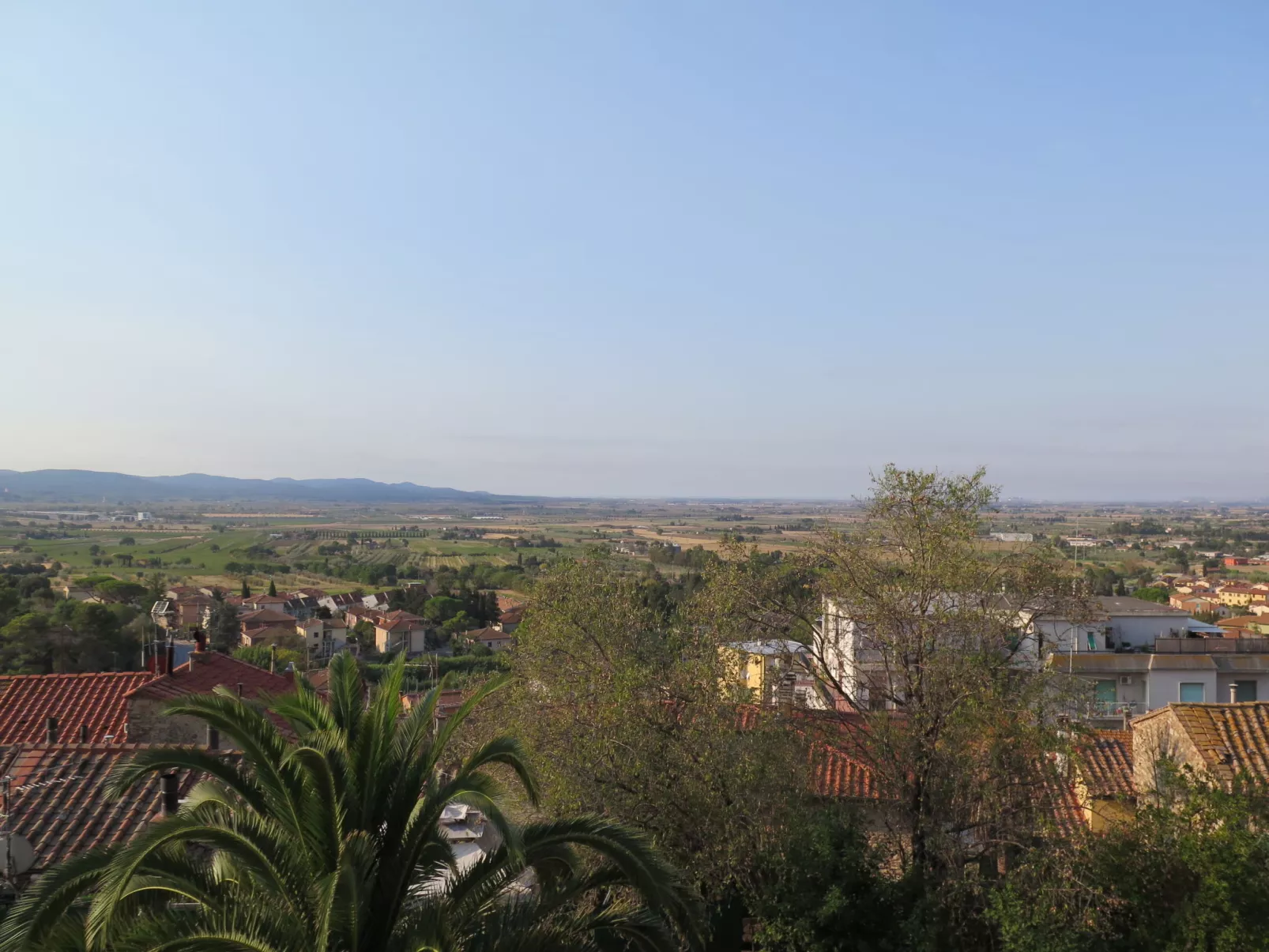 Marrone-Area