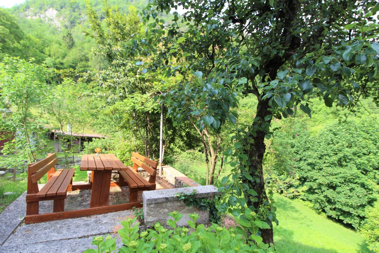 Casa Lilla - Garten Sommer