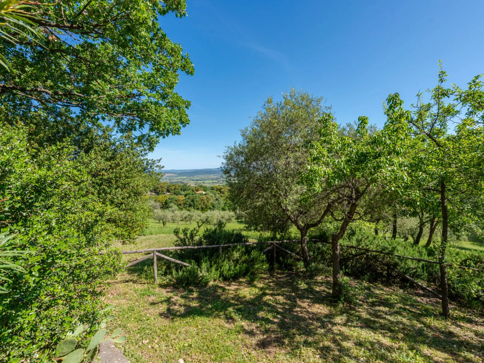 La Limonaia-Outside