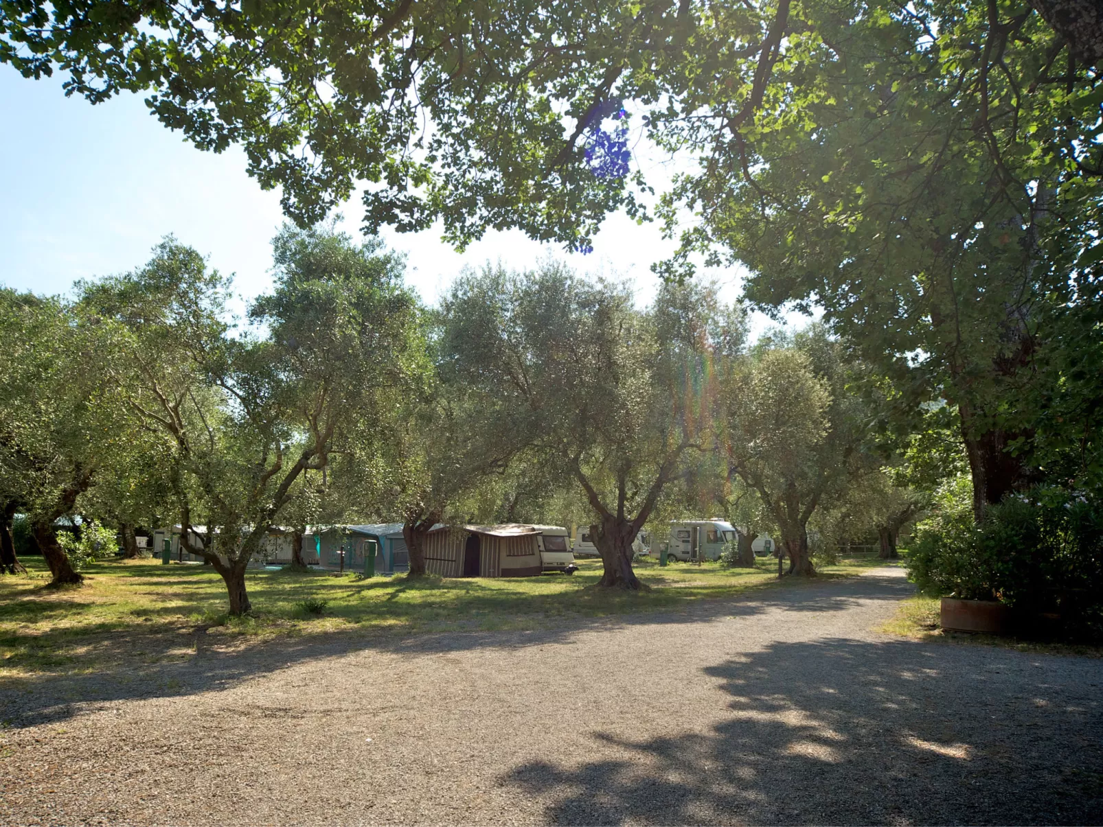 Camping Village Il Fontino-Outside