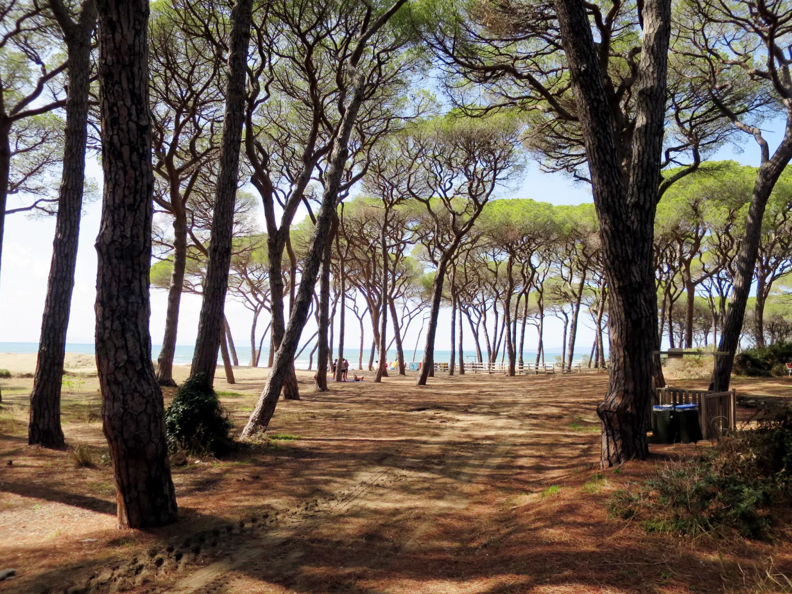 Camping Village Il Fontino-Outside