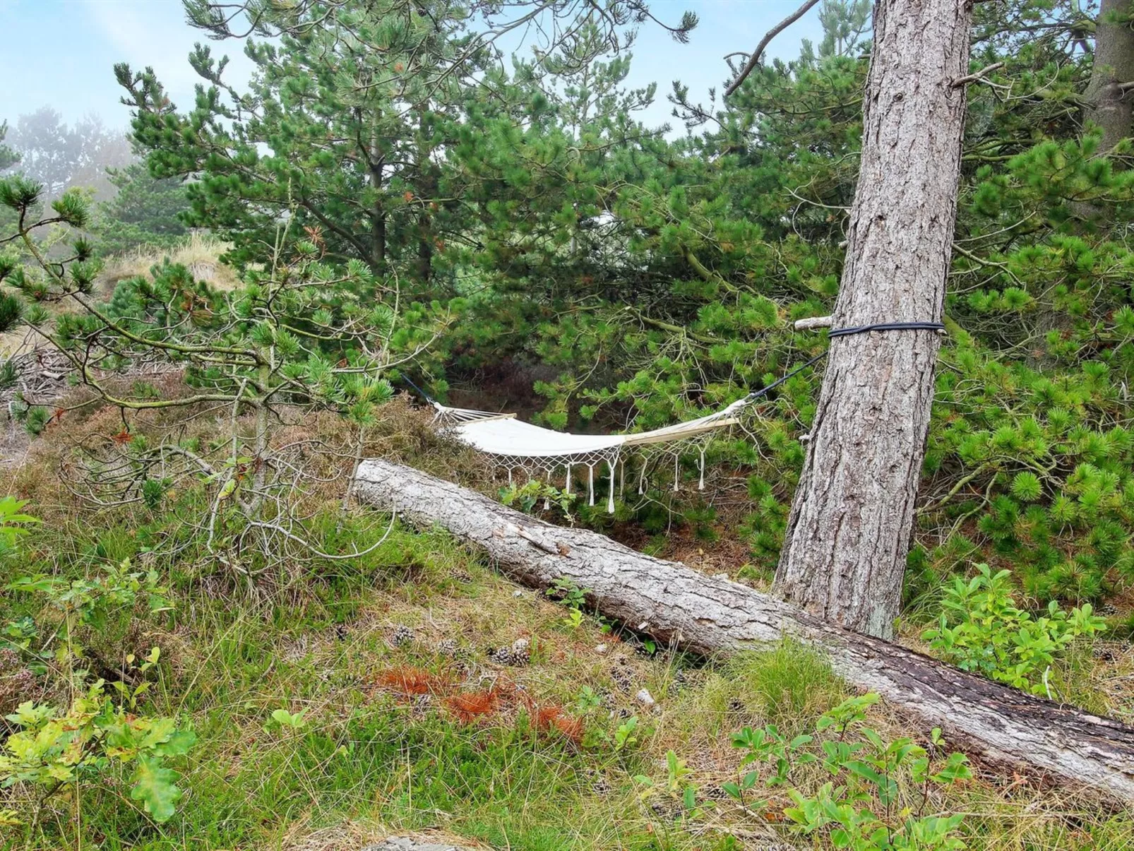 "Turkka" - 3.8km from the sea-Outside