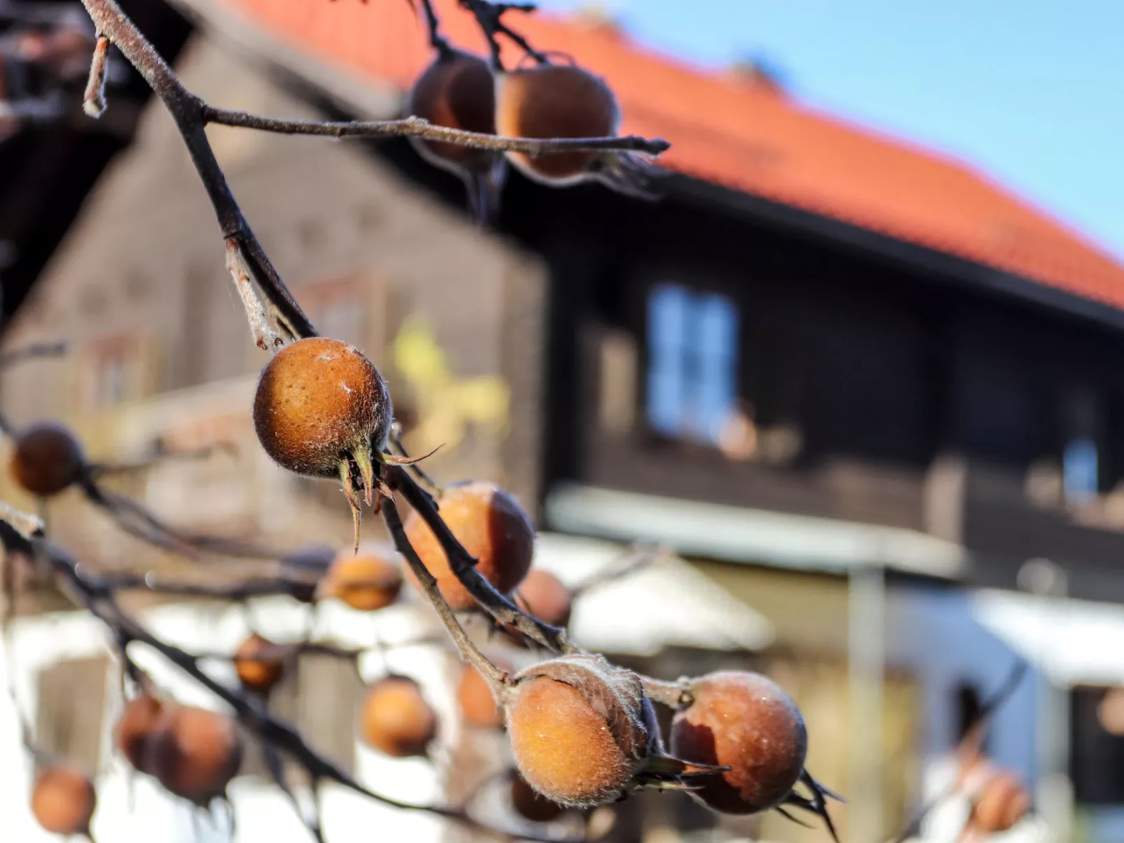 Weissenbach-Inside