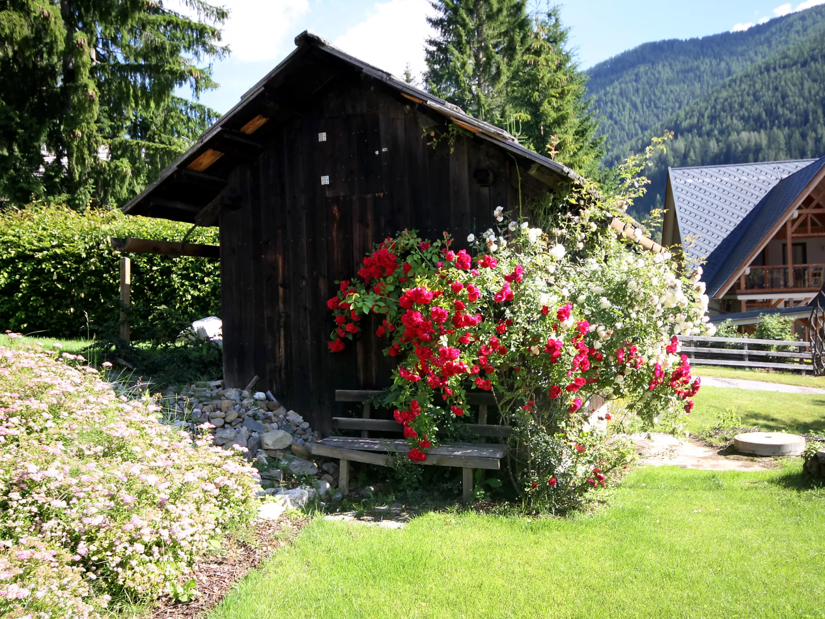Schwalbennest-Draußen