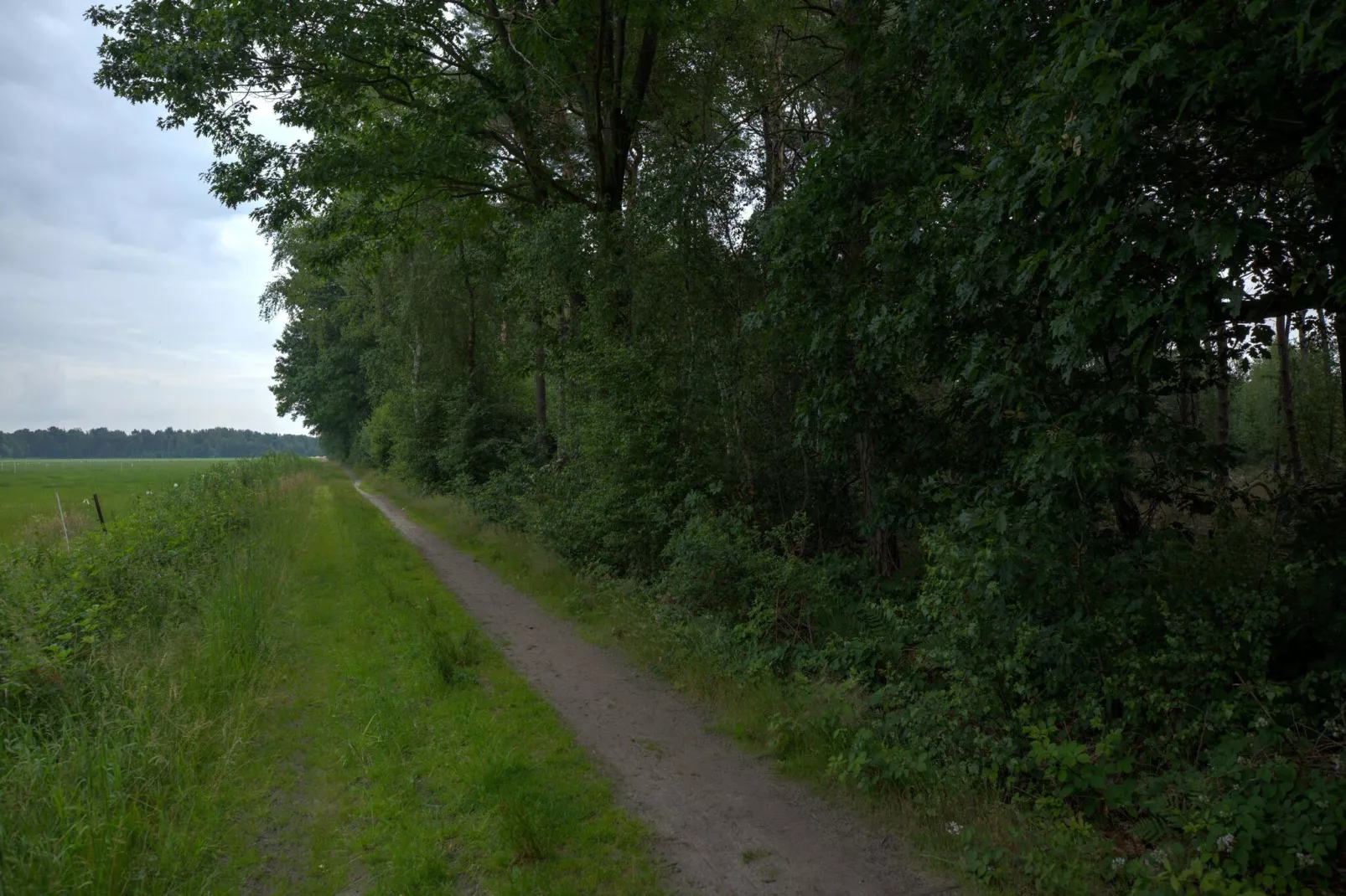 NR 5-Areas summer 1km