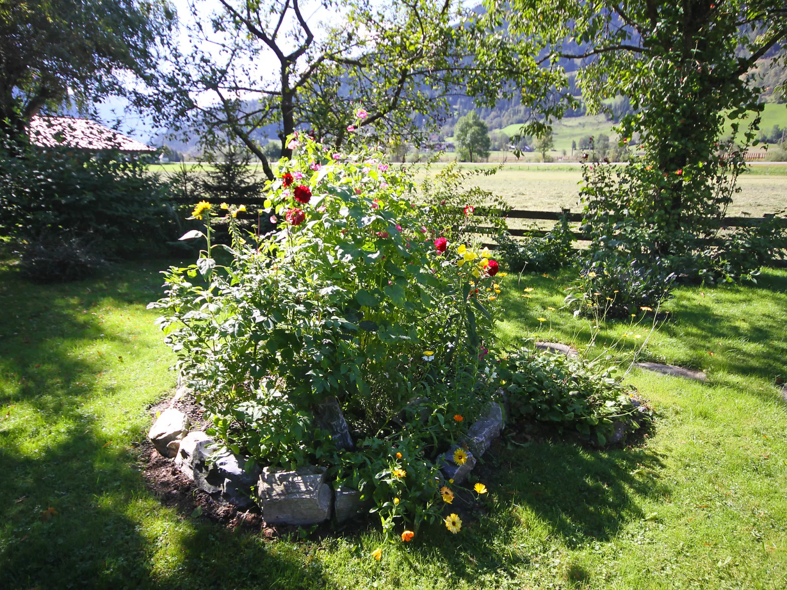 Haus Harlander-Outside