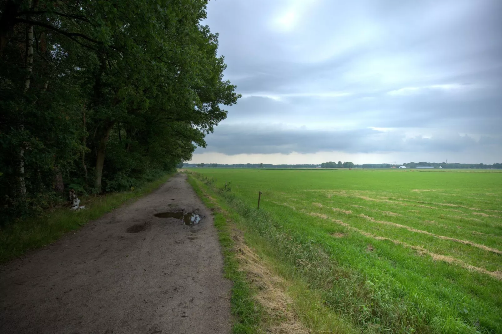 NR 5-Areas summer 5km