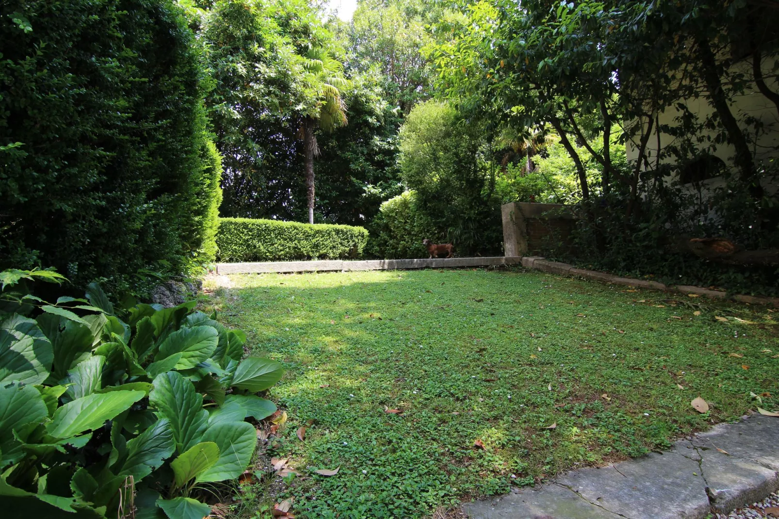 Villa Fiorita Uno-Gardens summer