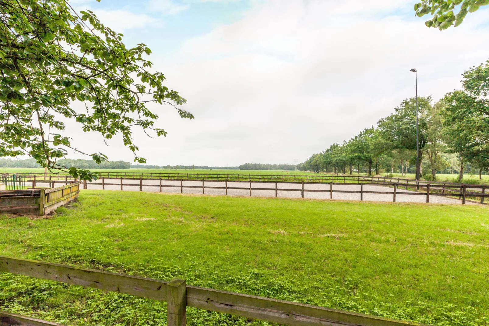 De Vrije Vogel-View summer