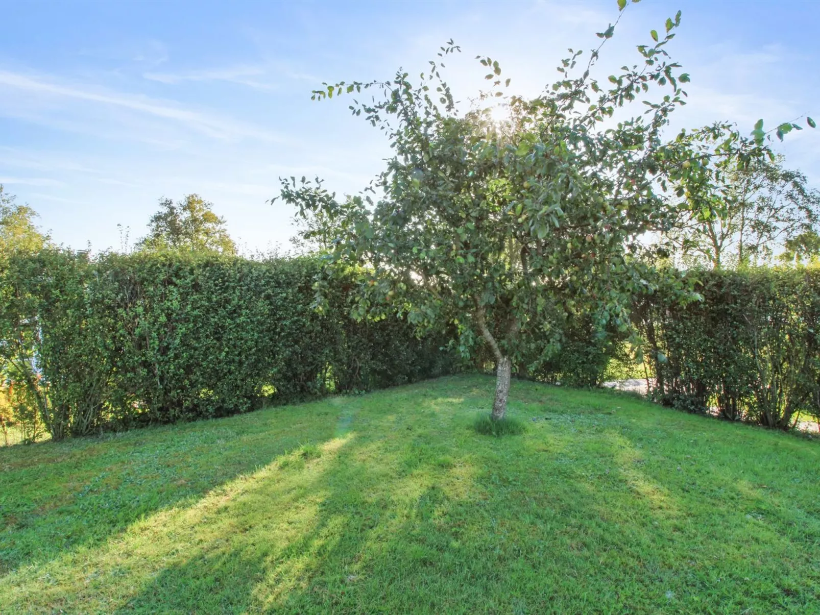 "Simjanka" - 600m from the sea-Outside